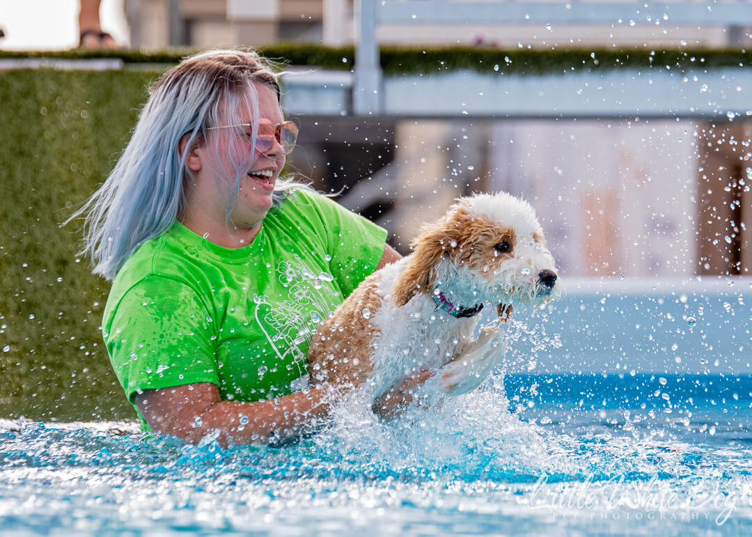 Doodle dog with owner in the pool during dock diving lessons